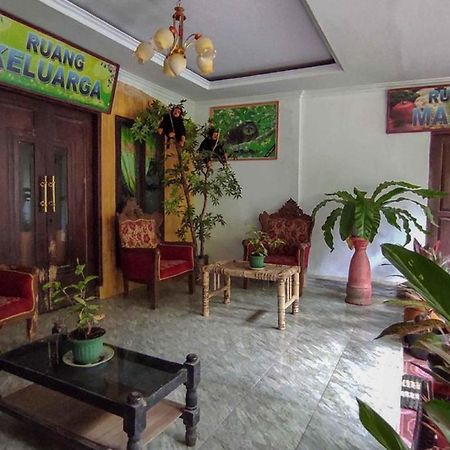 Oyo 90988 Tangkoko Jungle Homestay Rinondoran Exterior photo
