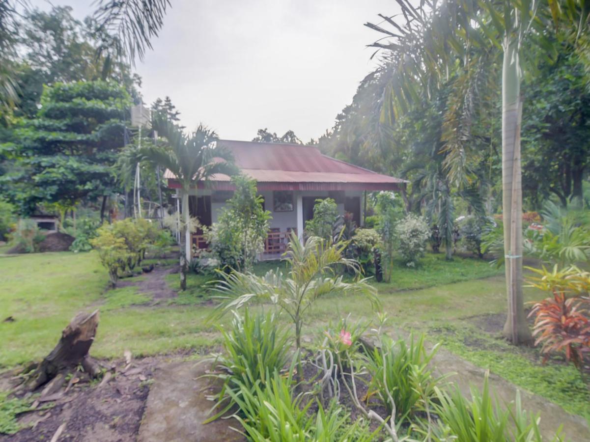 Oyo 90988 Tangkoko Jungle Homestay Rinondoran Exterior photo